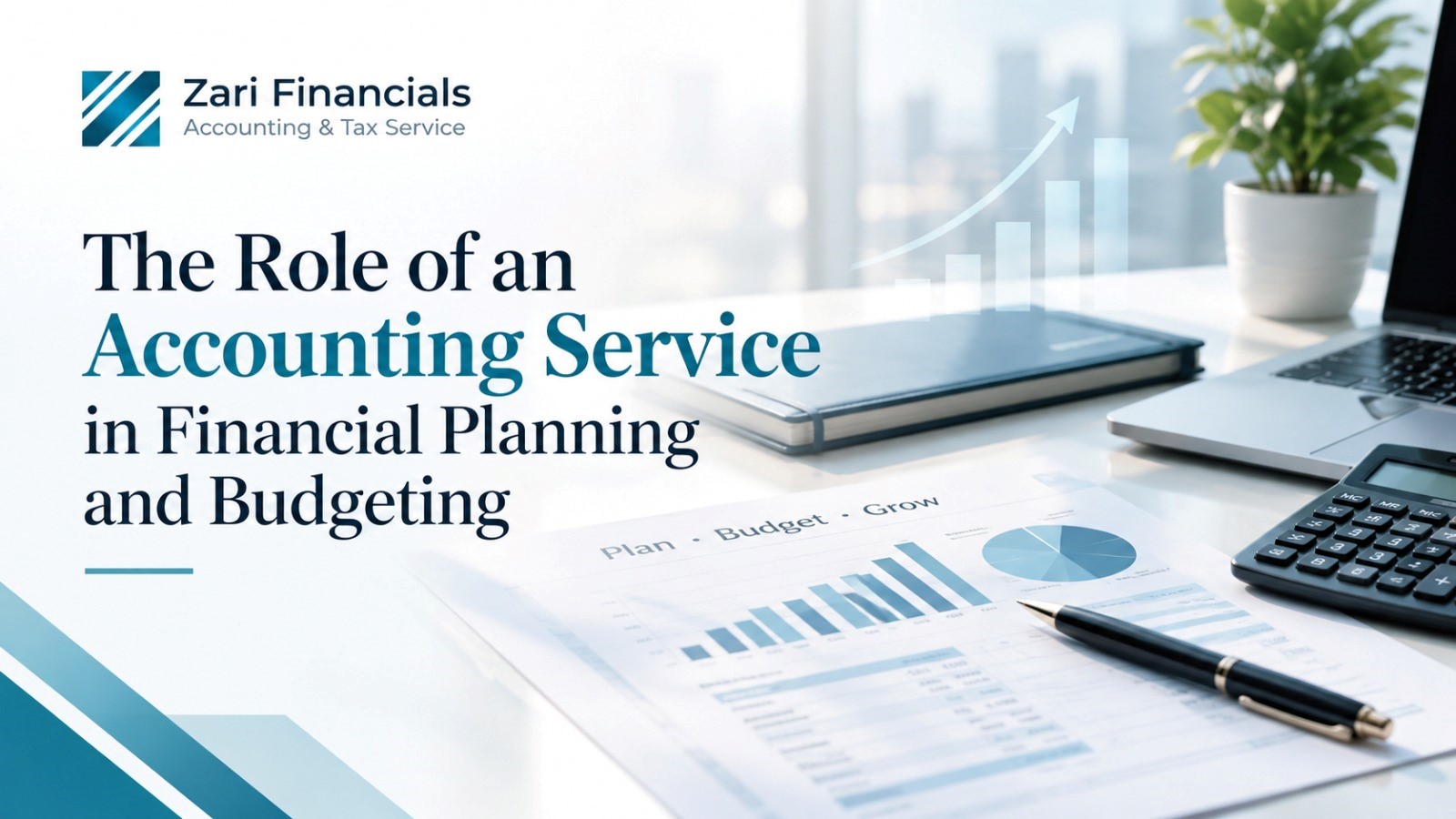 Role of an Accounting Service